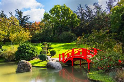 Le Jardin Japonais de Taguig: Un Oasis Tranquille au Cœur Vibrant de la Ville!